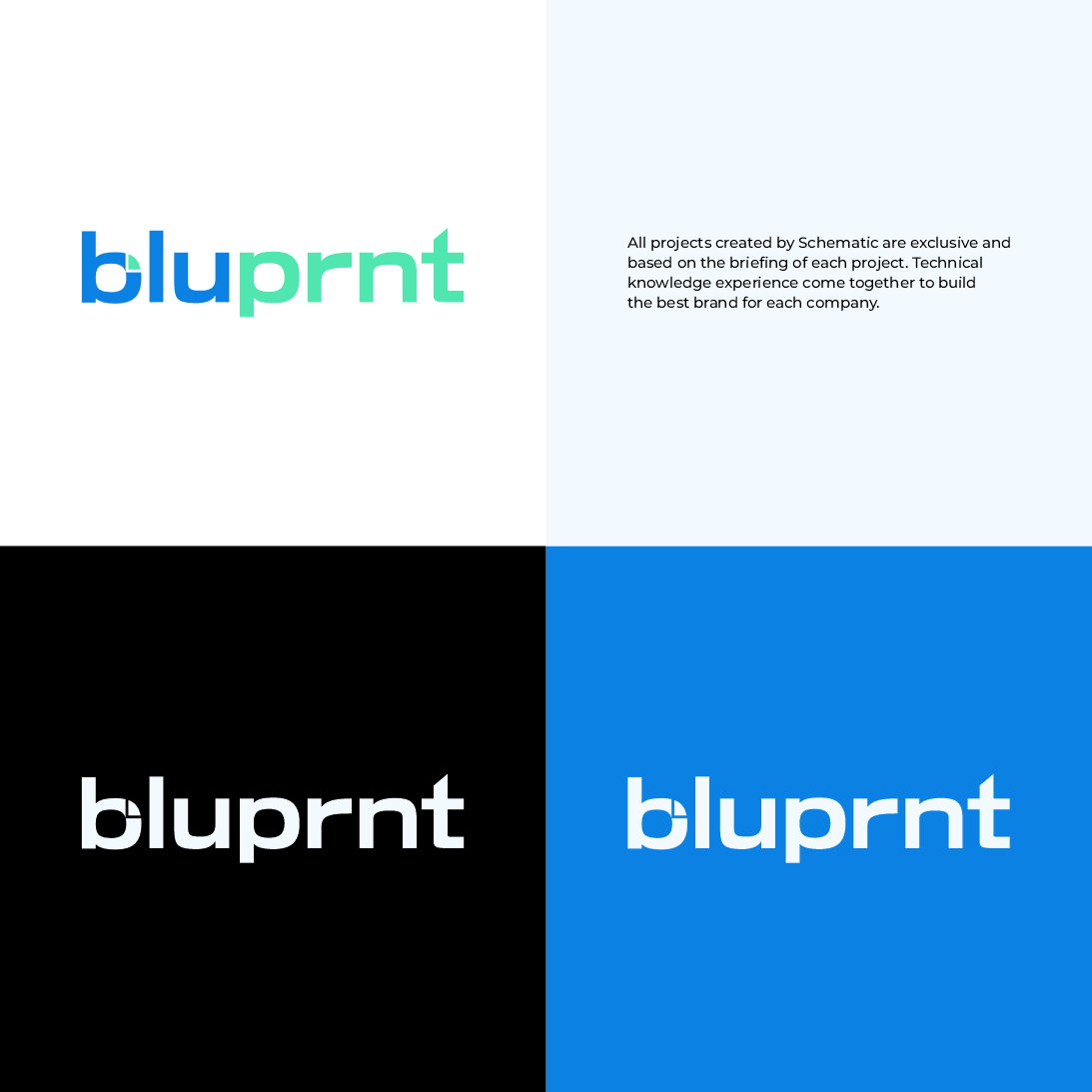 Diseño de Logo por Schematic Studio para este proyecto | Diseño #36204102