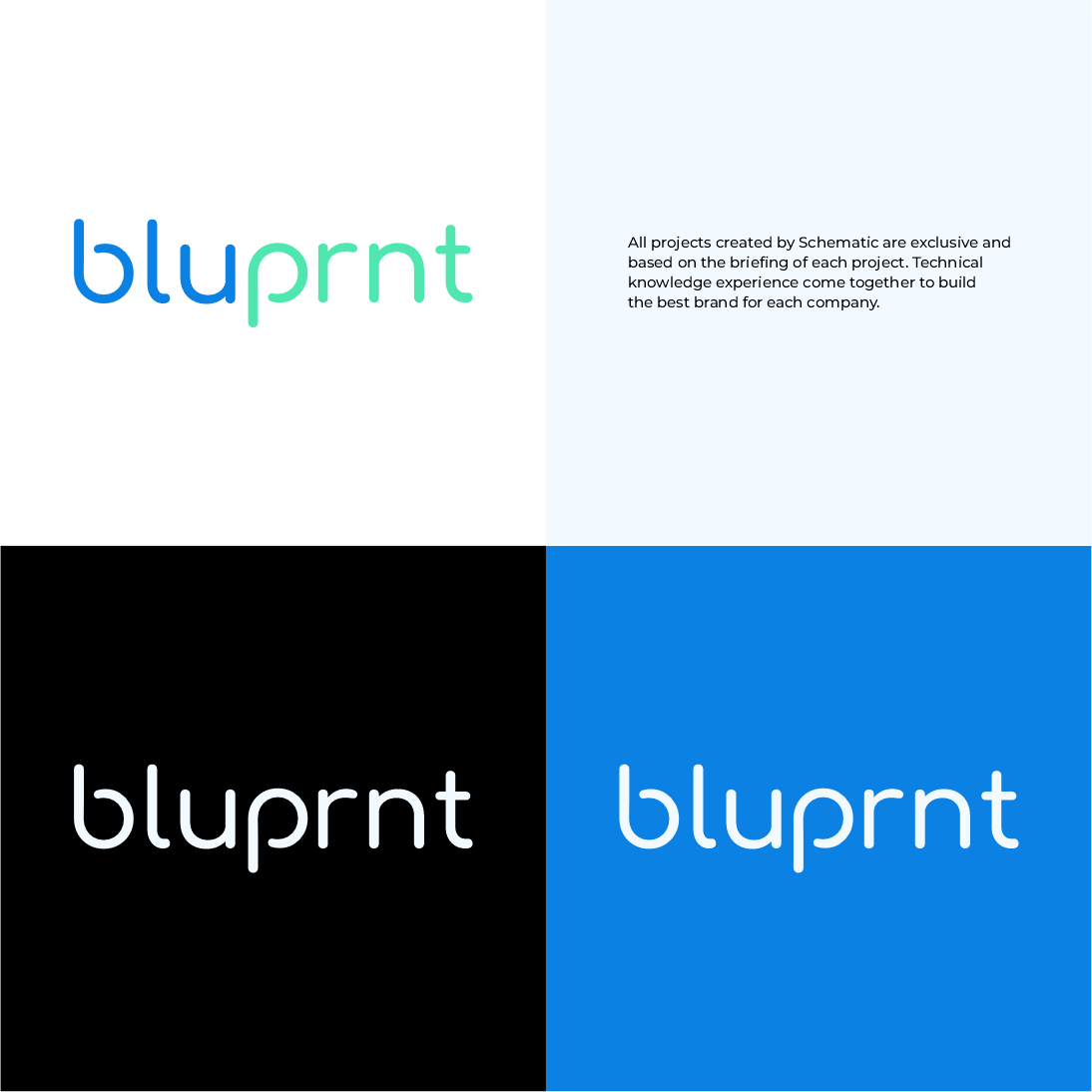 Logo Design by Schematic Studio for this project | Design #36204104