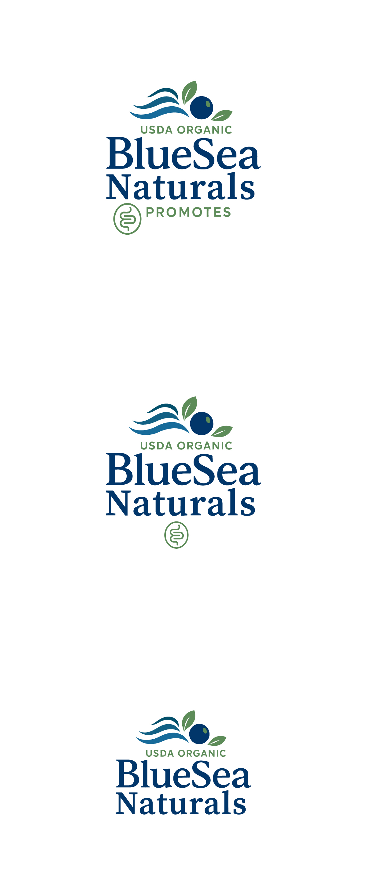 Logo-Design von Designzz. für Springtide Seaweed, LLC | Design #36244677