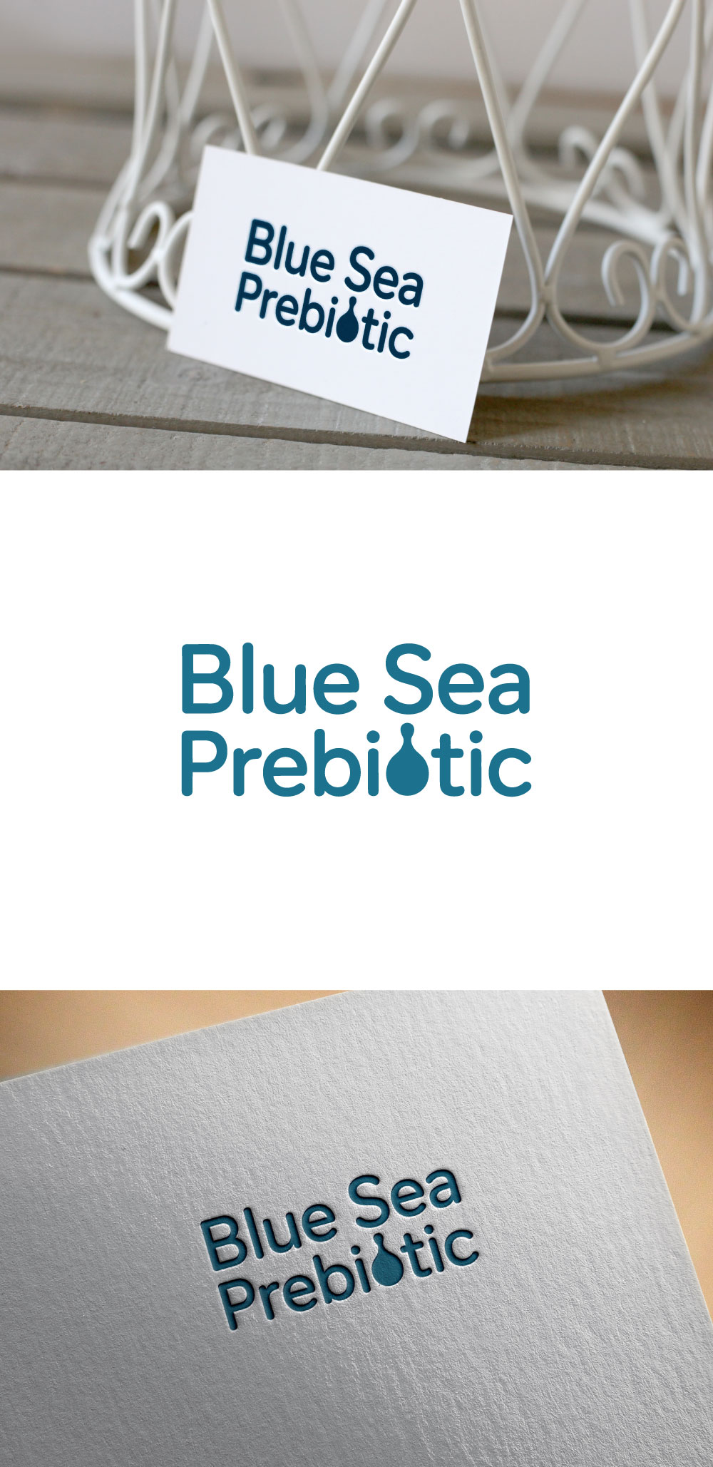 Design de Logo par KING JM pour Springtide Seaweed, LLC | Design #36198130