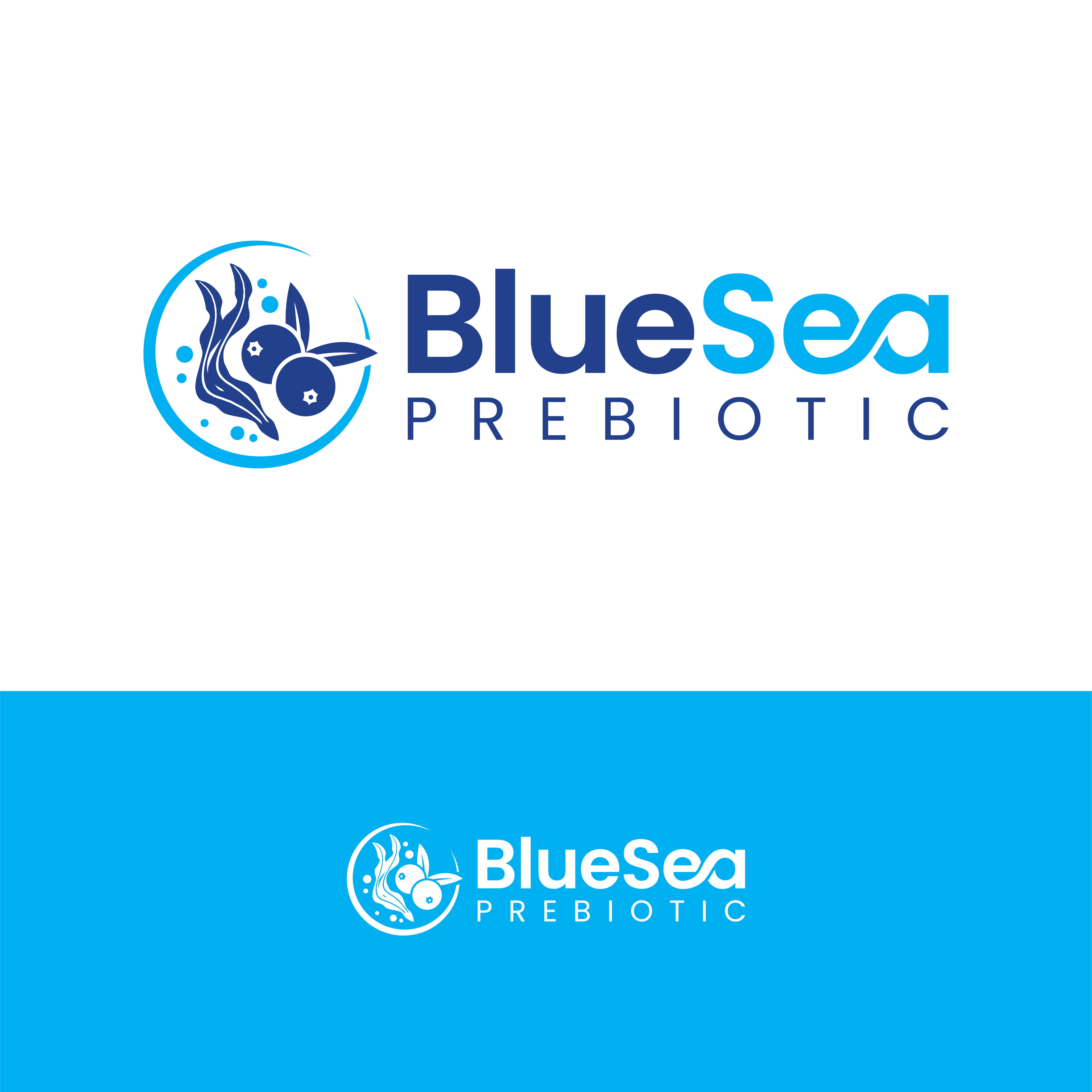 Logo Design by John Mark Arts for Springtide Seaweed, LLC | Design #36201189