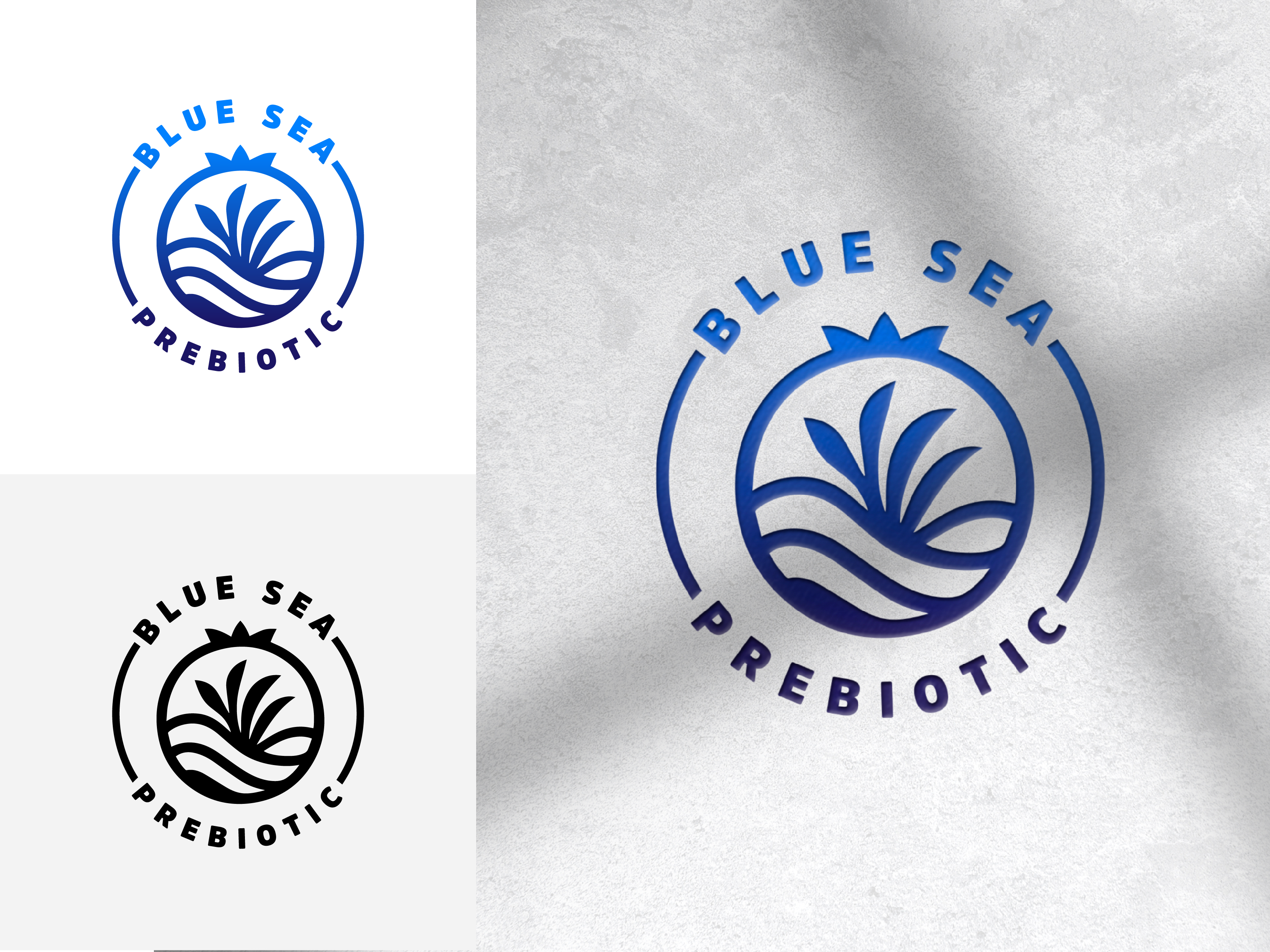 Design de Logo par Jammie Logos pour Springtide Seaweed, LLC | Design #36204628