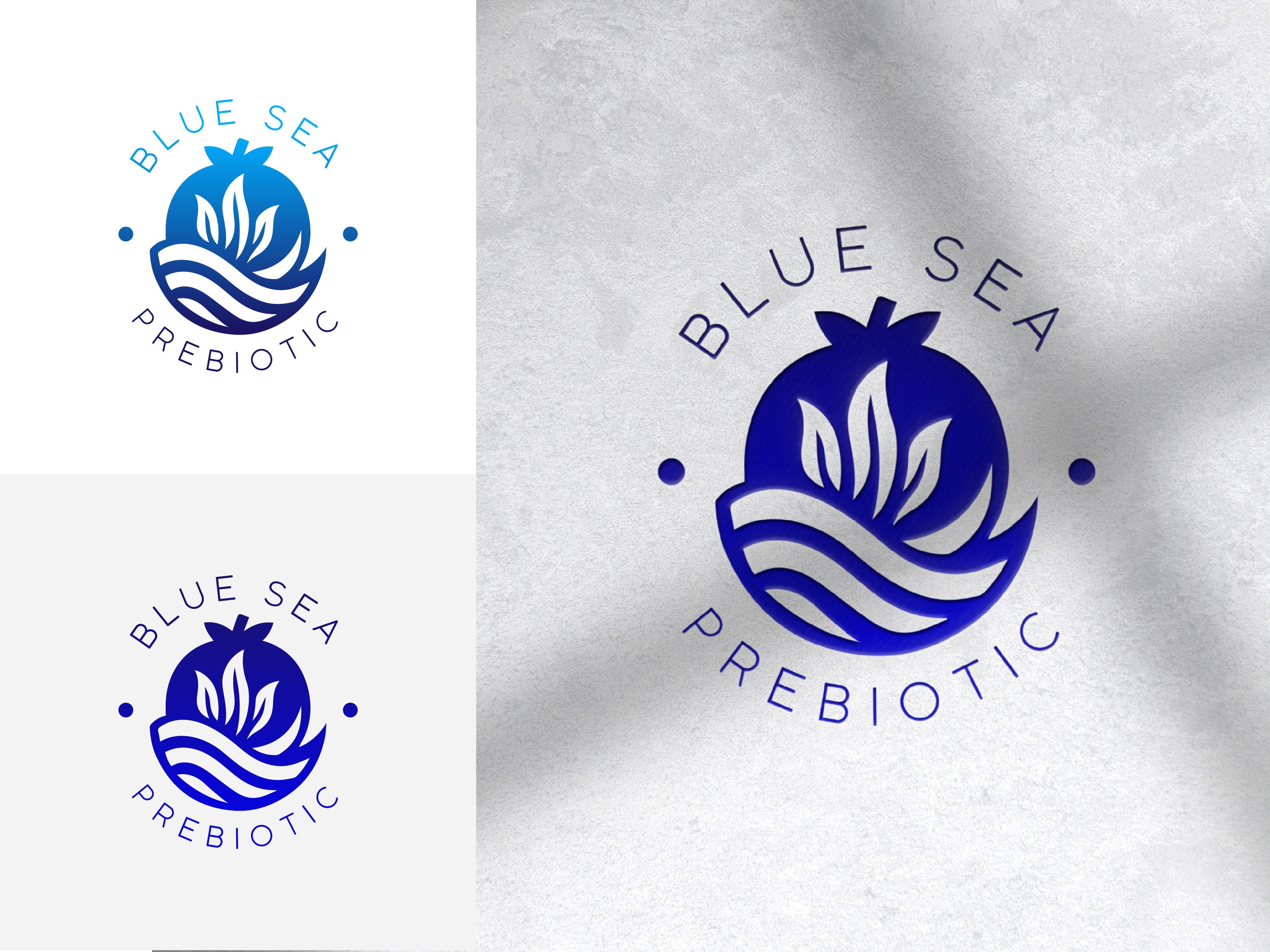 Logo-Design von Jammie Logos für Springtide Seaweed, LLC | Design #36204634