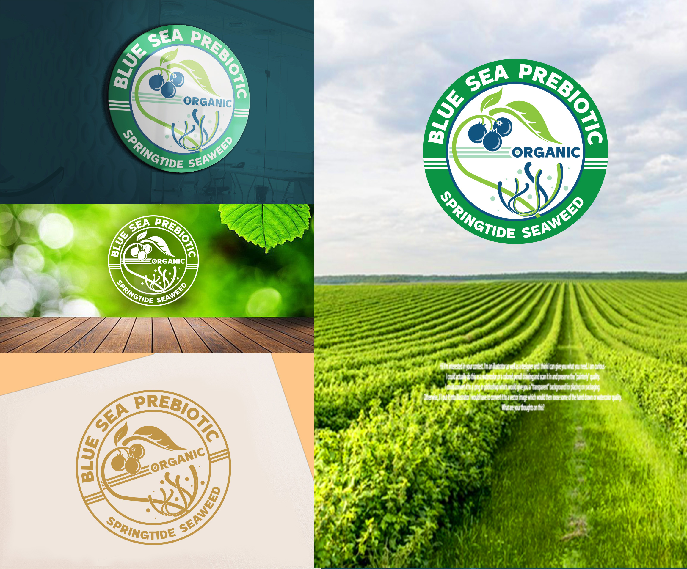 Diseño de Logo por Wonderful design para Springtide Seaweed, LLC | Diseño #36204871