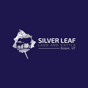 Logo Design by jhunzkie24 for Firefly Electric and Solar | Design #36203258