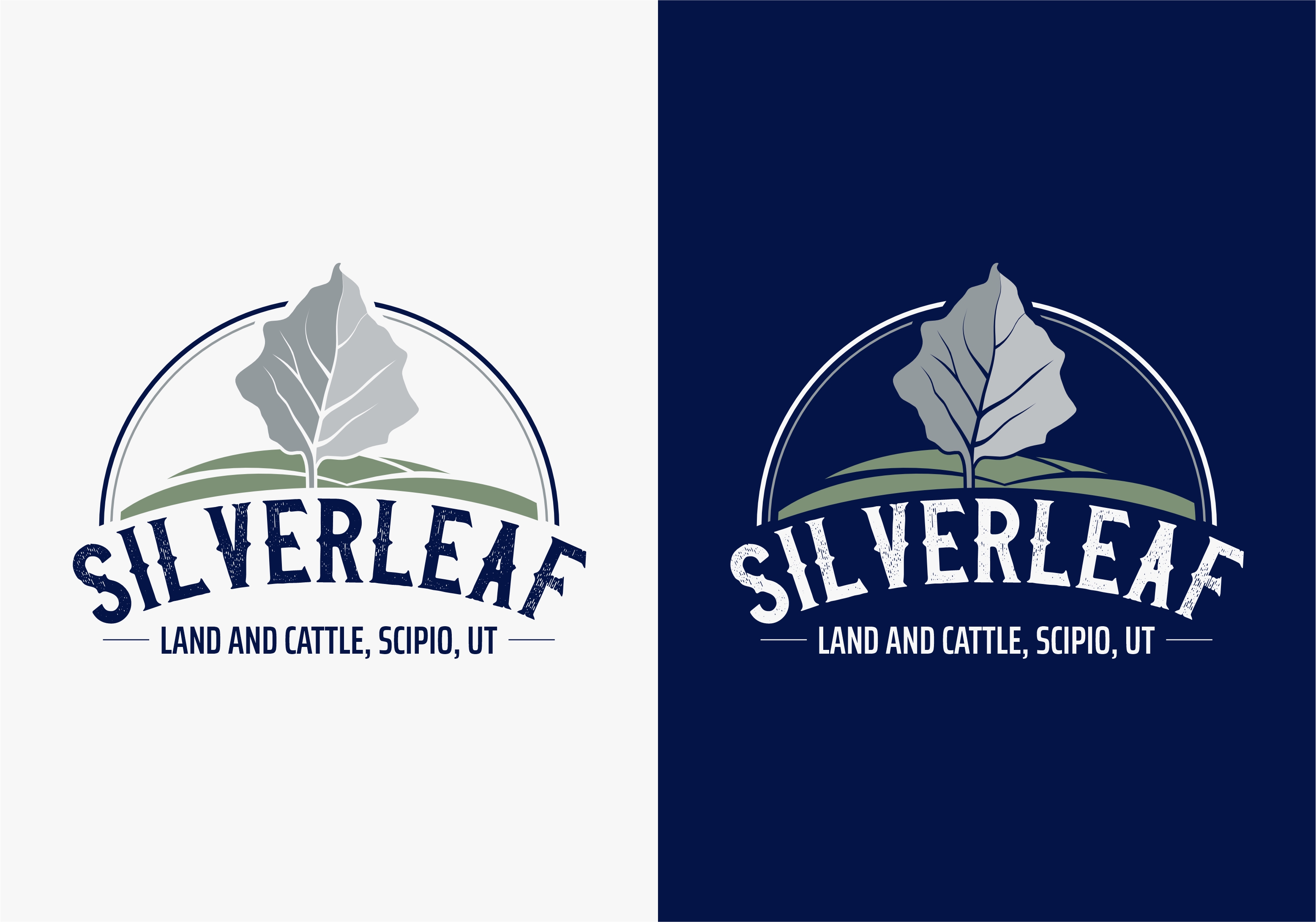 Logo Design by erikdesign for Firefly Electric and Solar | Design #36207226