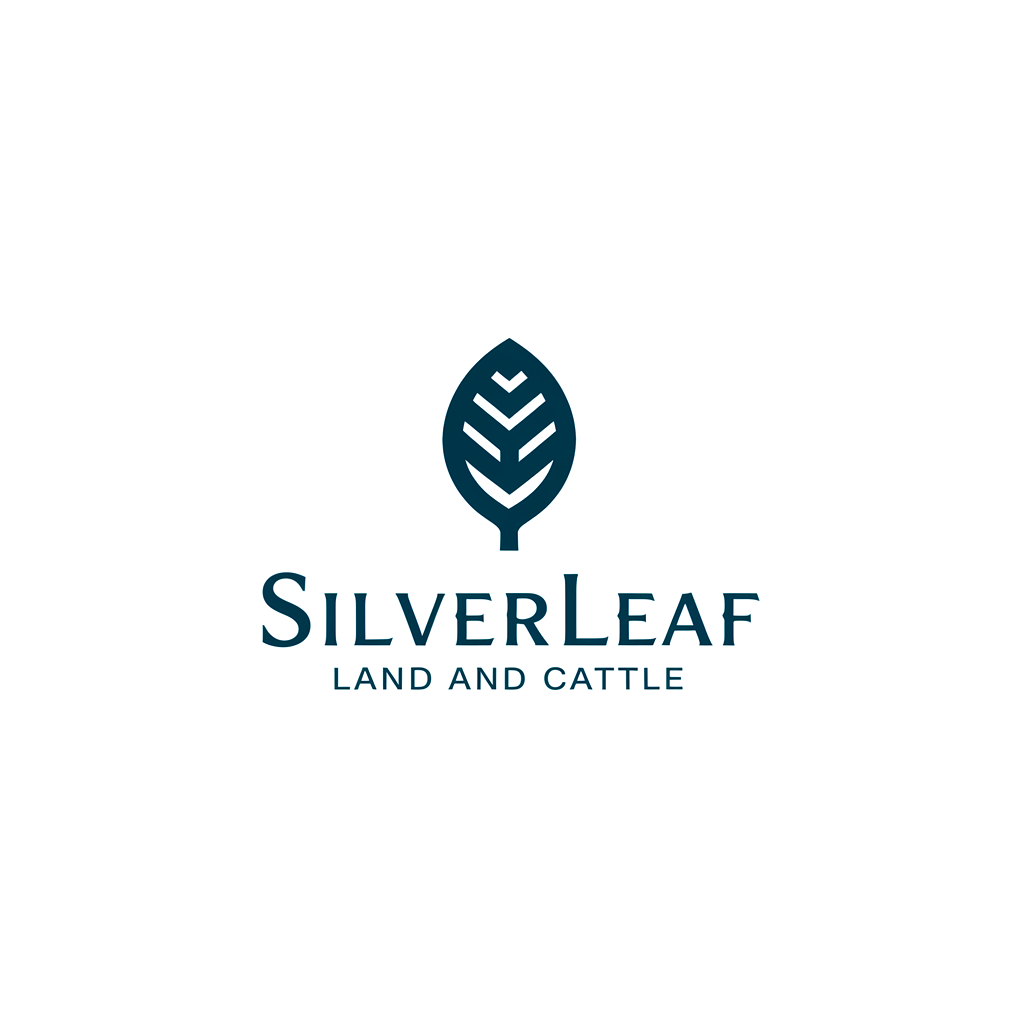 Logo Design by Ar_nisam_usman for Firefly Electric and Solar | Design #36220241
