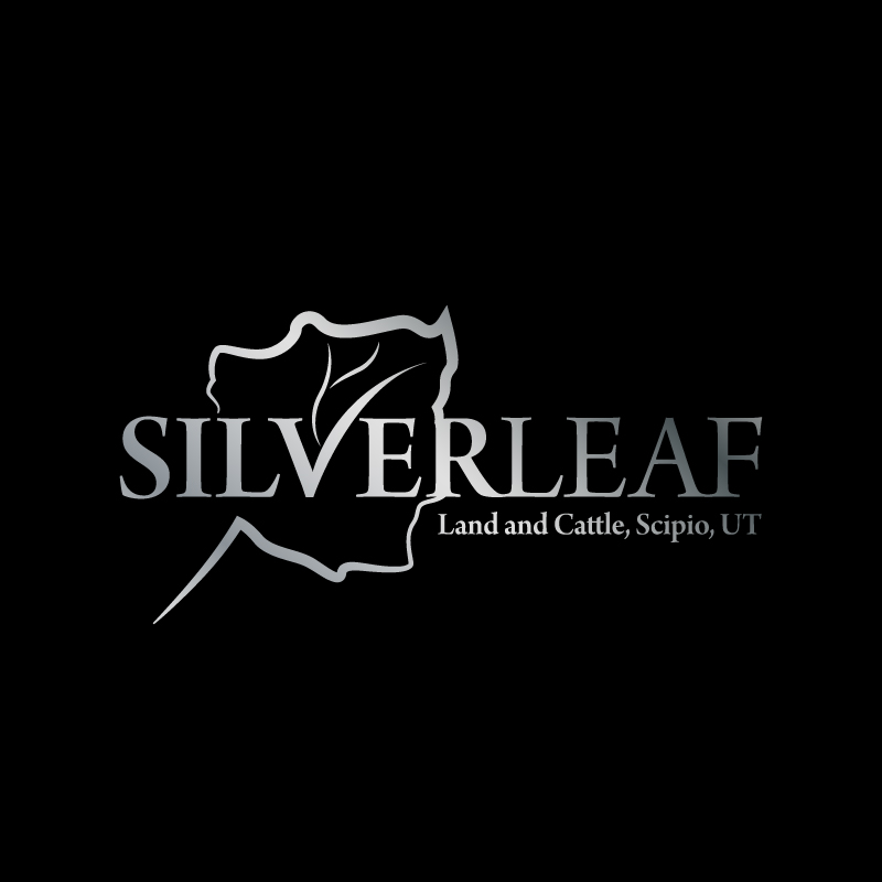 Logo Design by VisionCraft™ for Firefly Electric and Solar | Design #36204660