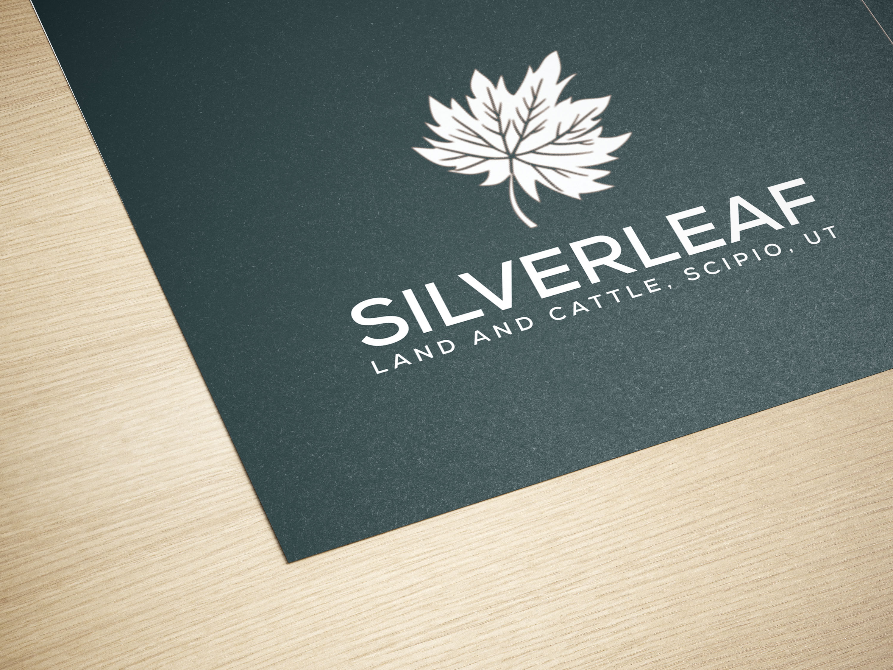 Design de Logo par PixelCraft Designs pour Firefly Electric and Solar | Design #36205050