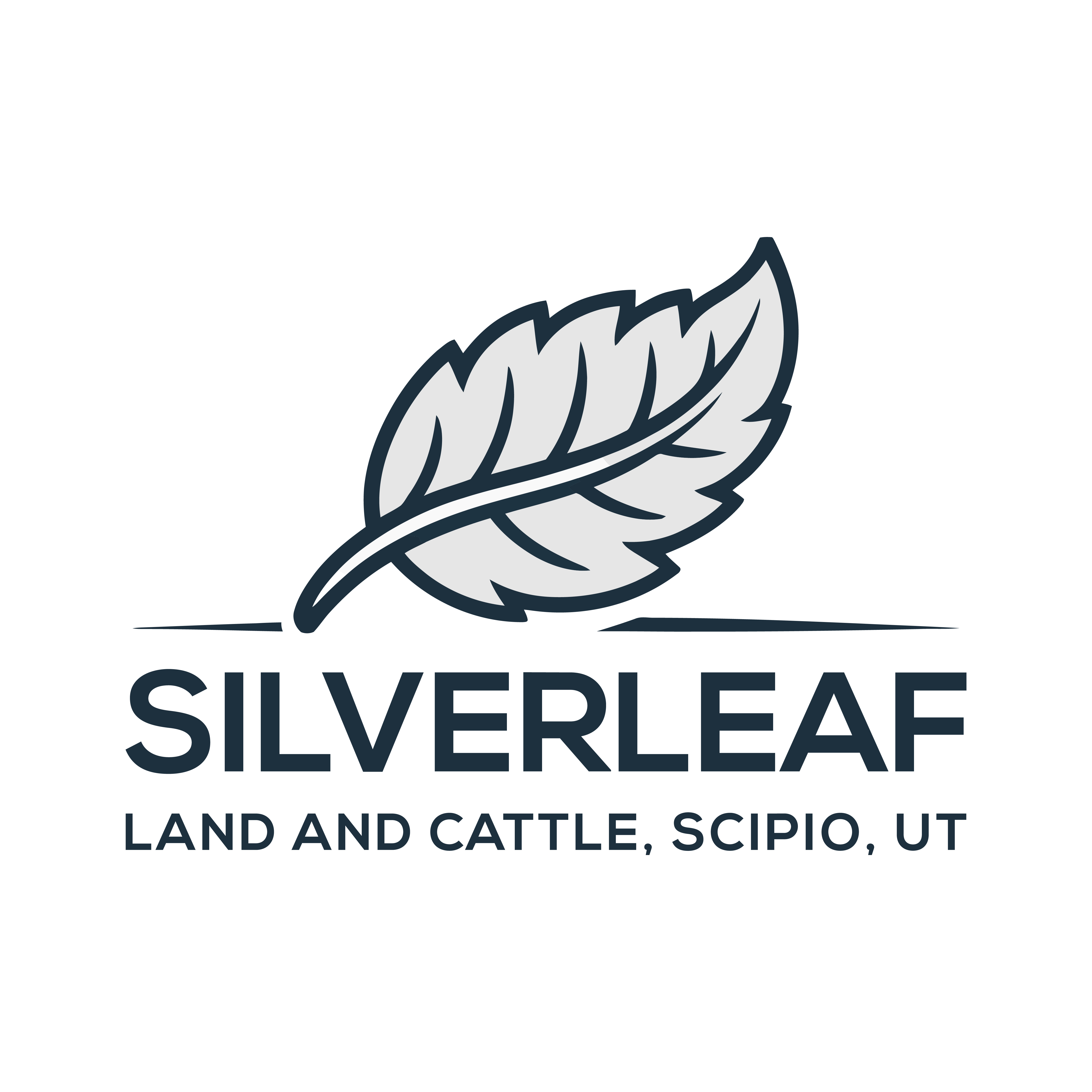 Logo Design by ArtAvenue for Firefly Electric and Solar | Design #36224536