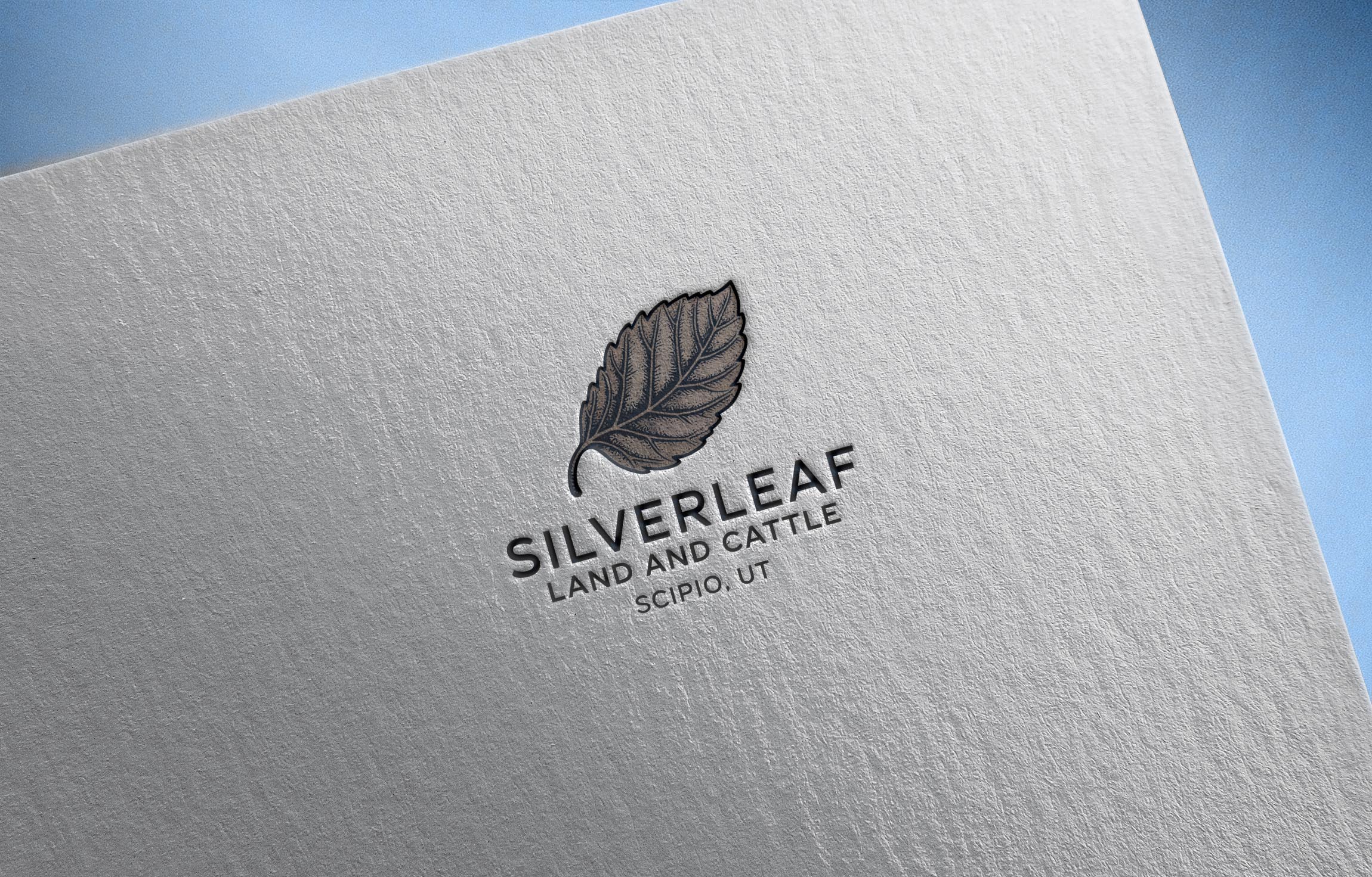 Logo Design by PD_Designs for Firefly Electric and Solar | Design #36222494