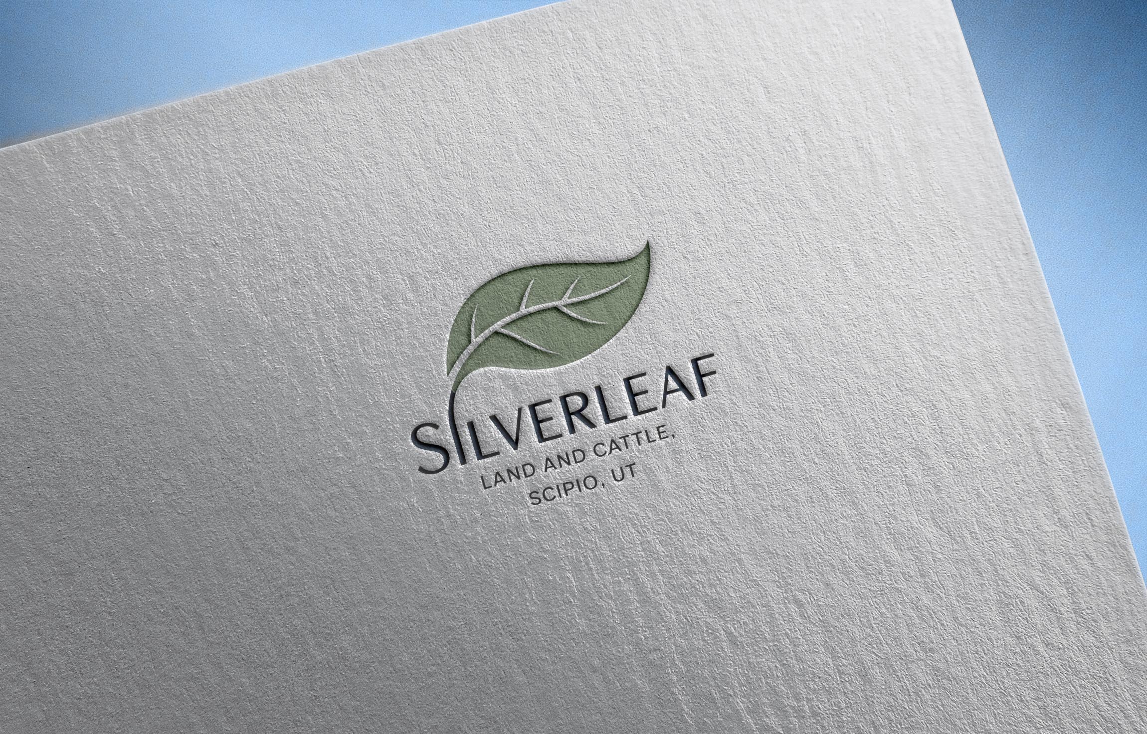 Logo Design by PD_Designs for Firefly Electric and Solar | Design #36222496