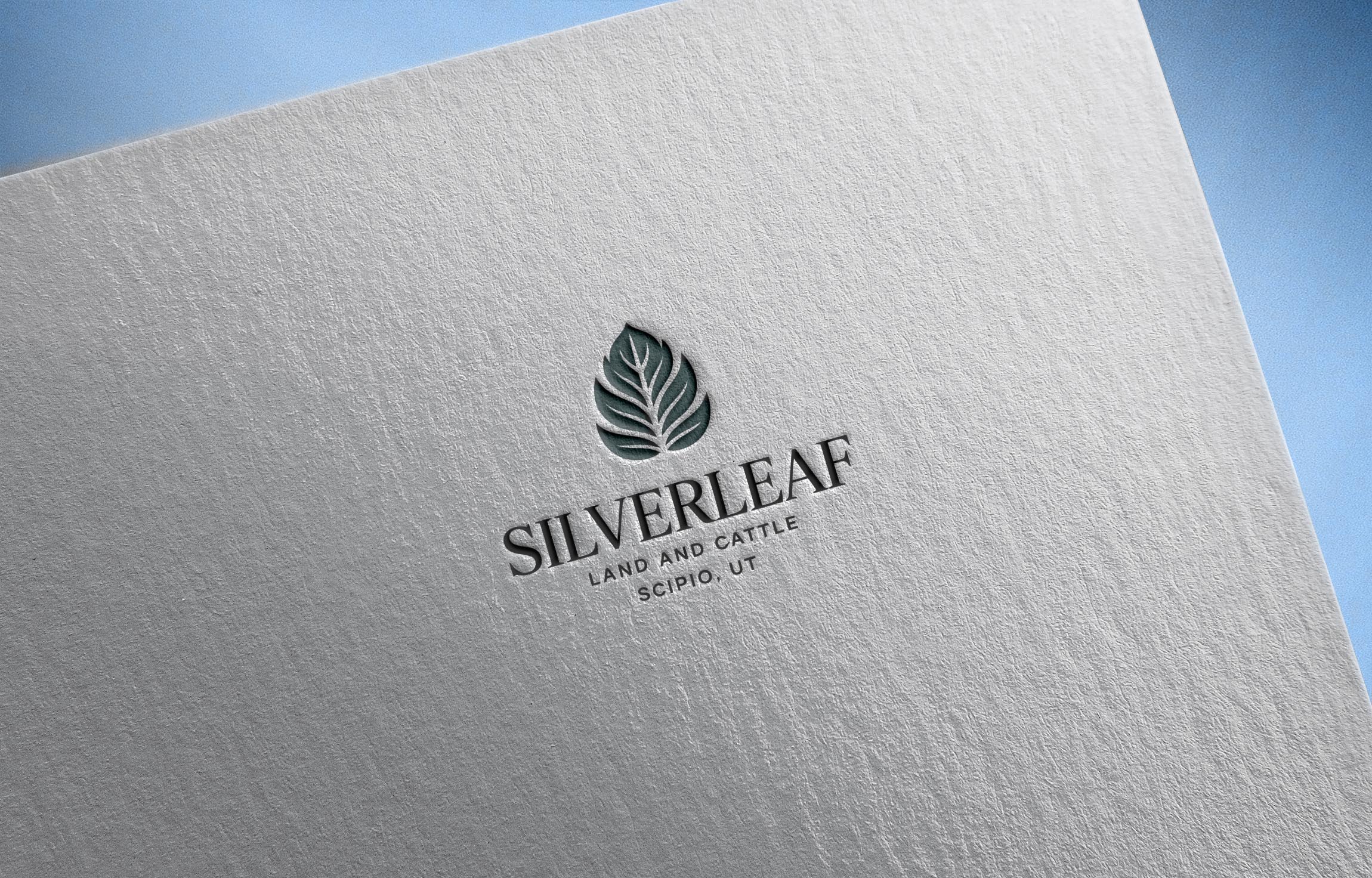 Logo Design by PD_Designs for Firefly Electric and Solar | Design #36222499