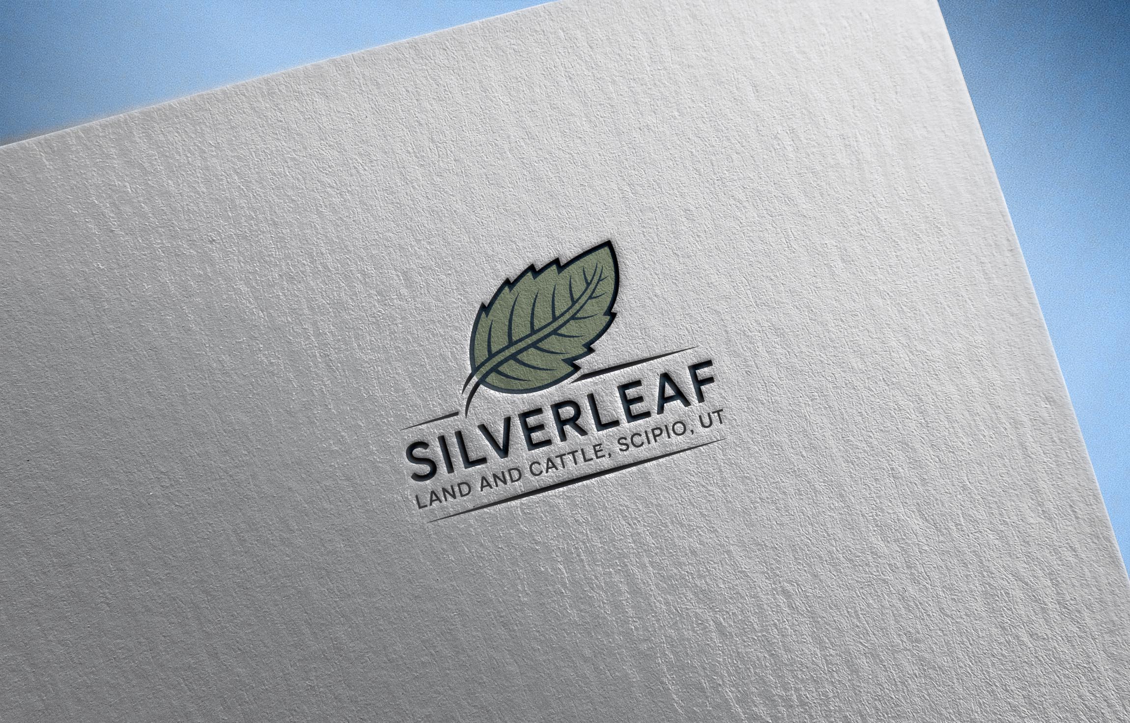 Diseño de Logo por PD_Designs para Firefly Electric and Solar | Diseño #36222501