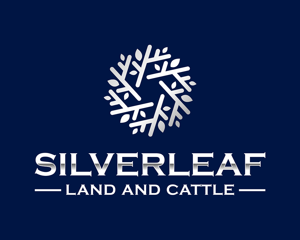 Logo Design by WastuCitra for Firefly Electric and Solar | Design #36241657