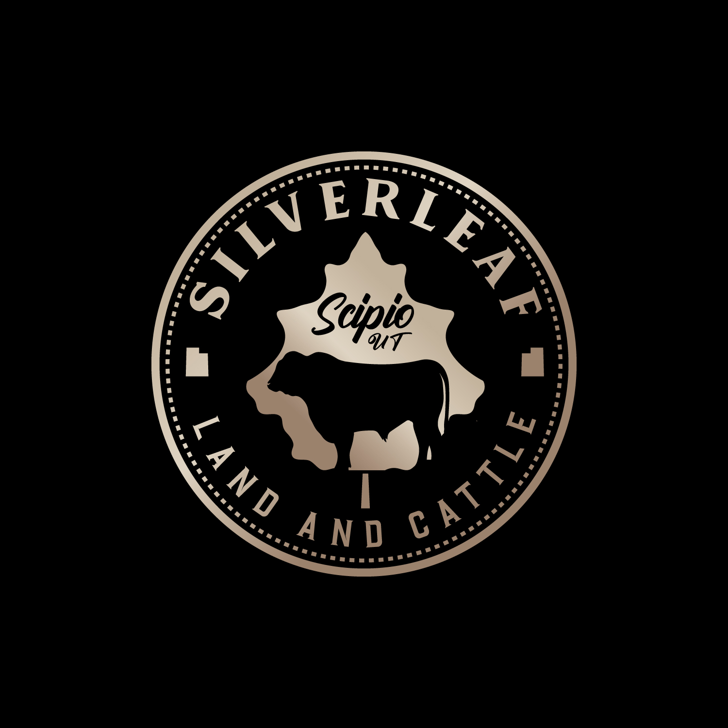 Logo Design by NEX for Firefly Electric and Solar | Design #36234567