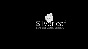 Logo Design by thepurplestudioz