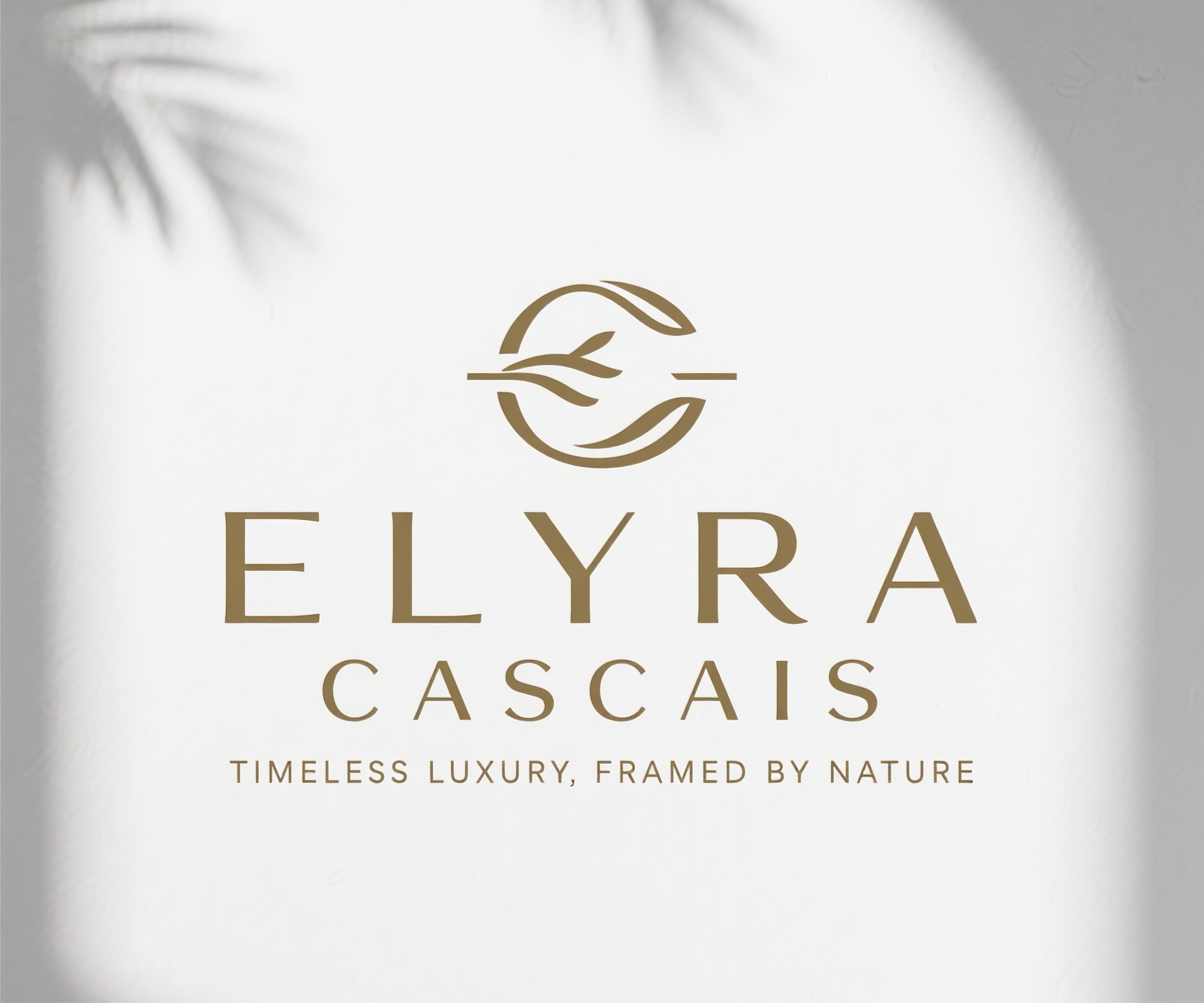 Logo Design by Stone Black for MEDINAVA 513046720 | Design #36208394