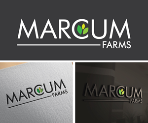 Diseño de Logo por Adi Graphics para este proyecto | Diseño: #36217141