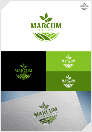 Diseño de Logo por IDesign1606 para este proyecto | Diseño: #36231999