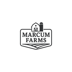 Diseño de Logo por MHdesignM para este proyecto | Diseño: #36221983