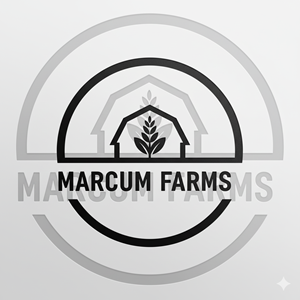 Diseño de Logo por Dezingo Studio™ para este proyecto | Diseño: #36219679