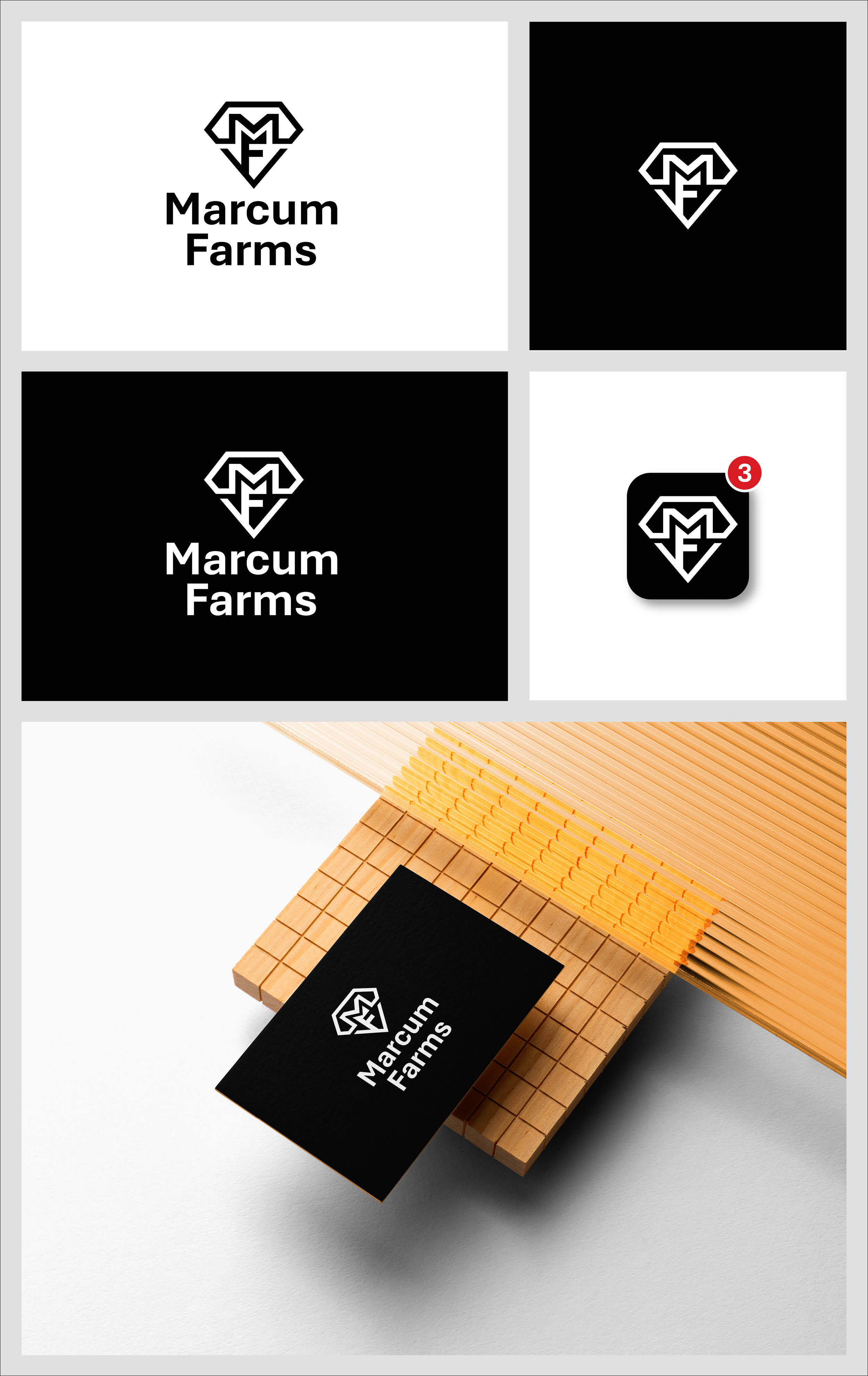 Diseño de Logo por Ha.Connick para este proyecto | Diseño #36221503