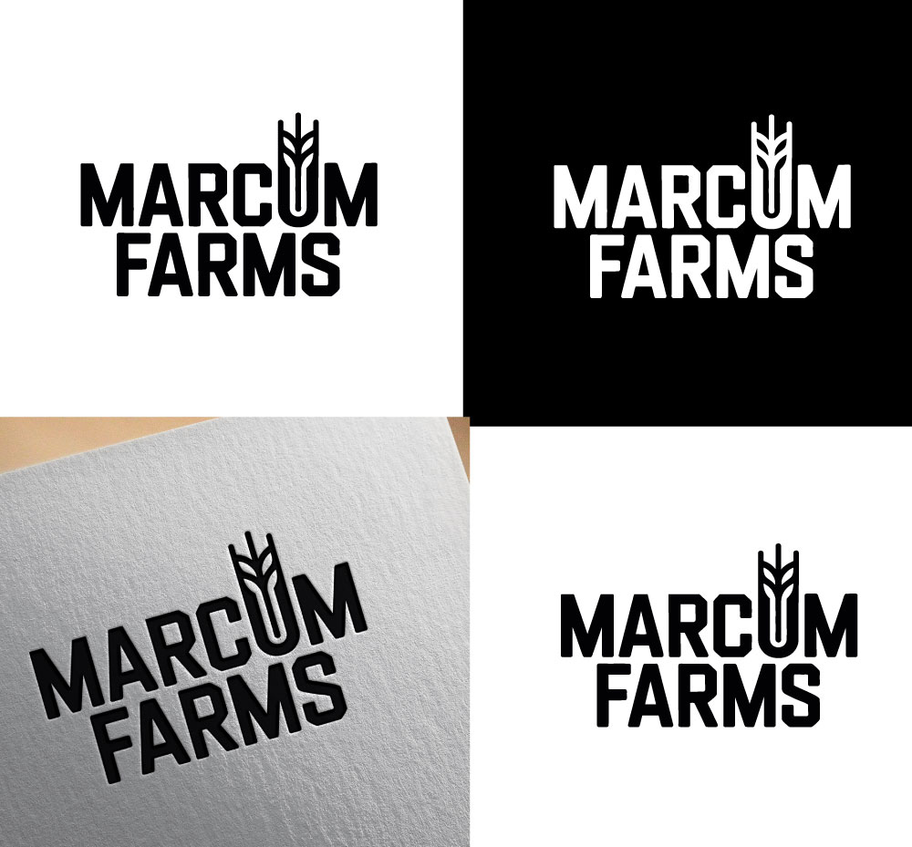 Logo Design by jonshon for this project | Design #36215083