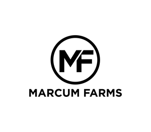 Diseño de Logo por Nova_Create para este proyecto | Diseño: #36229190
