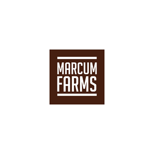 Logo Design by Jeferson HP