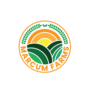 Logo Design by bartolomeus for this project | Design: #36213431