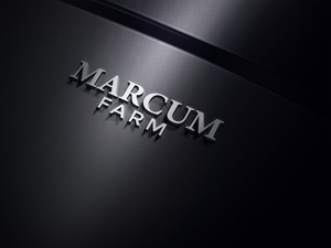 Logo Design by Md.Hanif Mahmud for this project | Design: #36213377