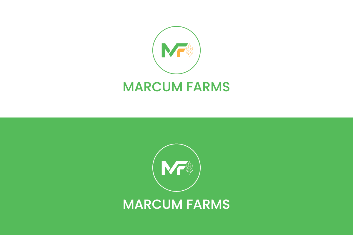 Diseño de Logo por Ale_Graphicz para este proyecto | Diseño #36214582