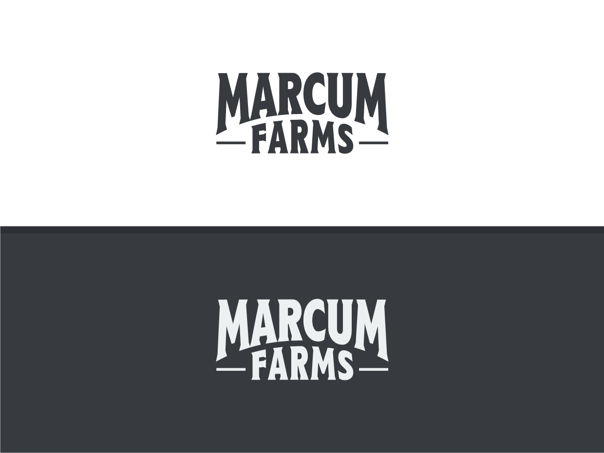 Diseño de Logo por Atvento Graphics para este proyecto | Diseño #36215472