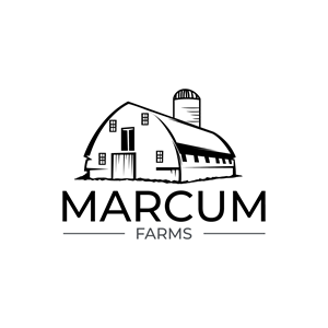 Diseño de Logo por LAXMI DESIGNHUB para este proyecto | Diseño: #36216866