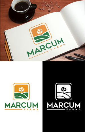 Diseño de Logo por fly  design para este proyecto | Diseño: #36222472