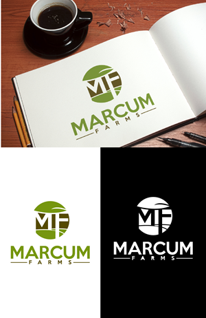 Diseño de Logo por fly  design para este proyecto | Diseño: #36222473