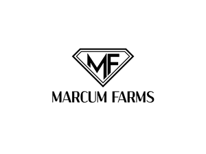 Logo Design by Owltive for this project | Design: #36218599