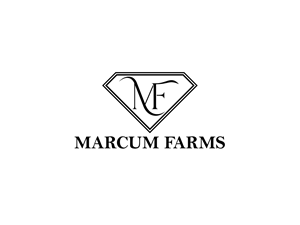 Logo Design by Owltive for this project | Design: #36218602