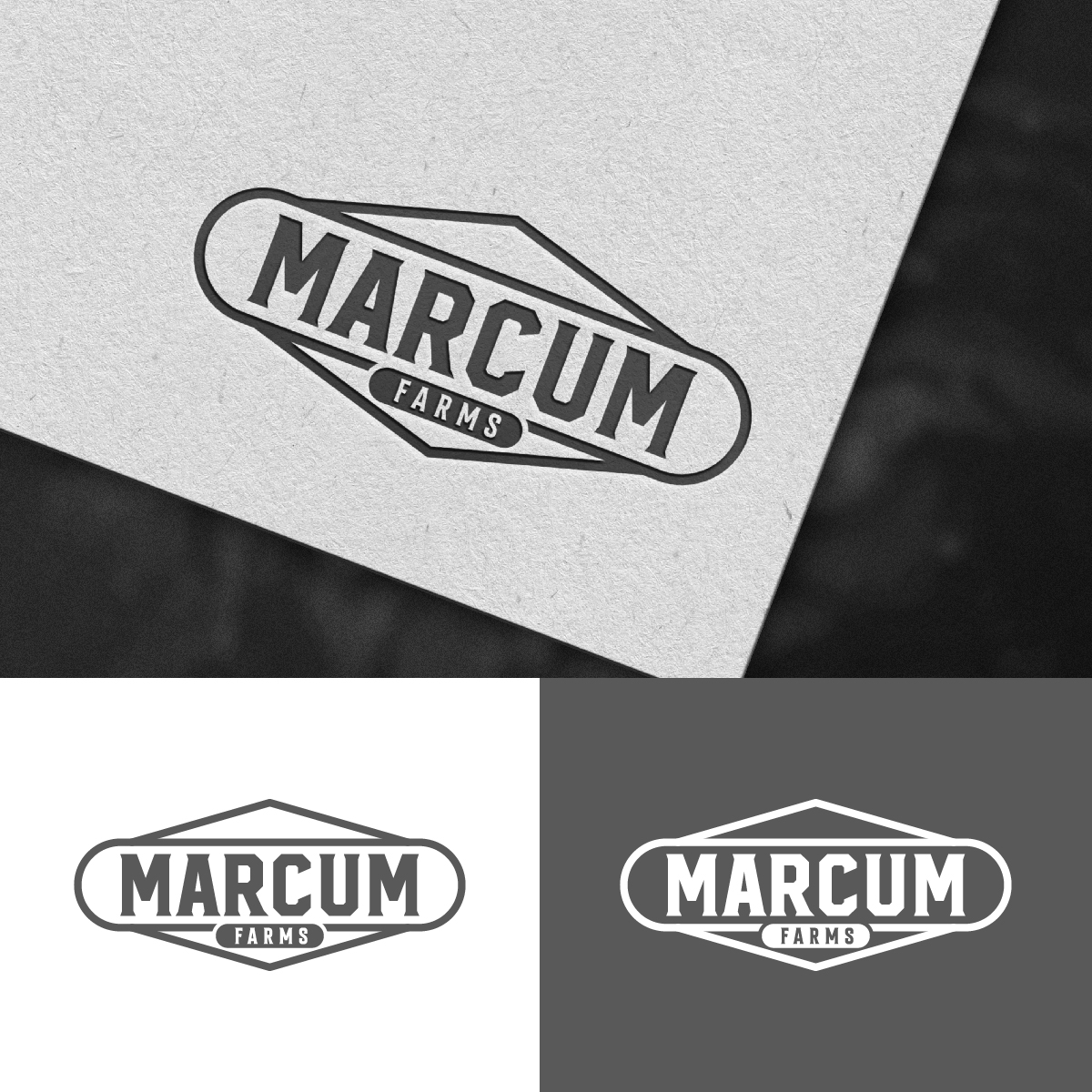 Diseño de Logo por DesignLima para este proyecto | Diseño #36221124
