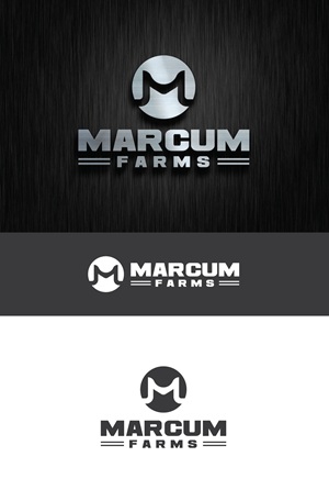 Diseño de Logo por creativepix para este proyecto | Diseño: #36215639