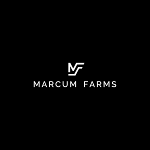 Diseño de Logo por GVisions para este proyecto | Diseño: #36232982
