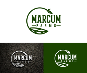 Diseño de Logo por Ansh Design para este proyecto | Diseño: #36215937