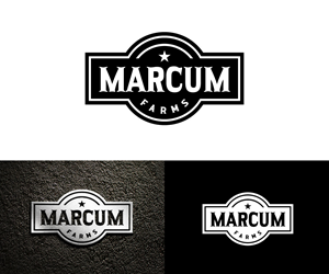 Diseño de Logo por Ansh Design para este proyecto | Diseño: #36215939