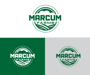 Diseño de Logo por Ansh Design para este proyecto | Diseño: #36215940