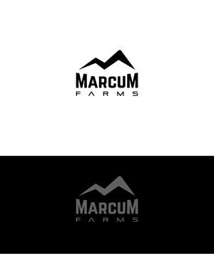 Diseño de Logo por vidarshana 2 para este proyecto | Diseño: #36216970