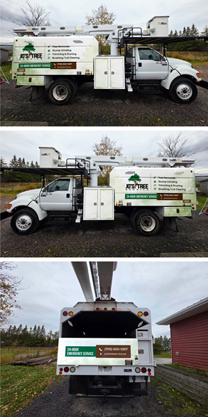 Graphic Design by Graphic Guy for this project | Design: #36236178