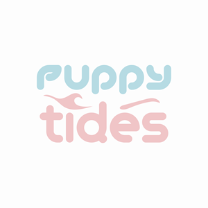 Logo Design by amda51