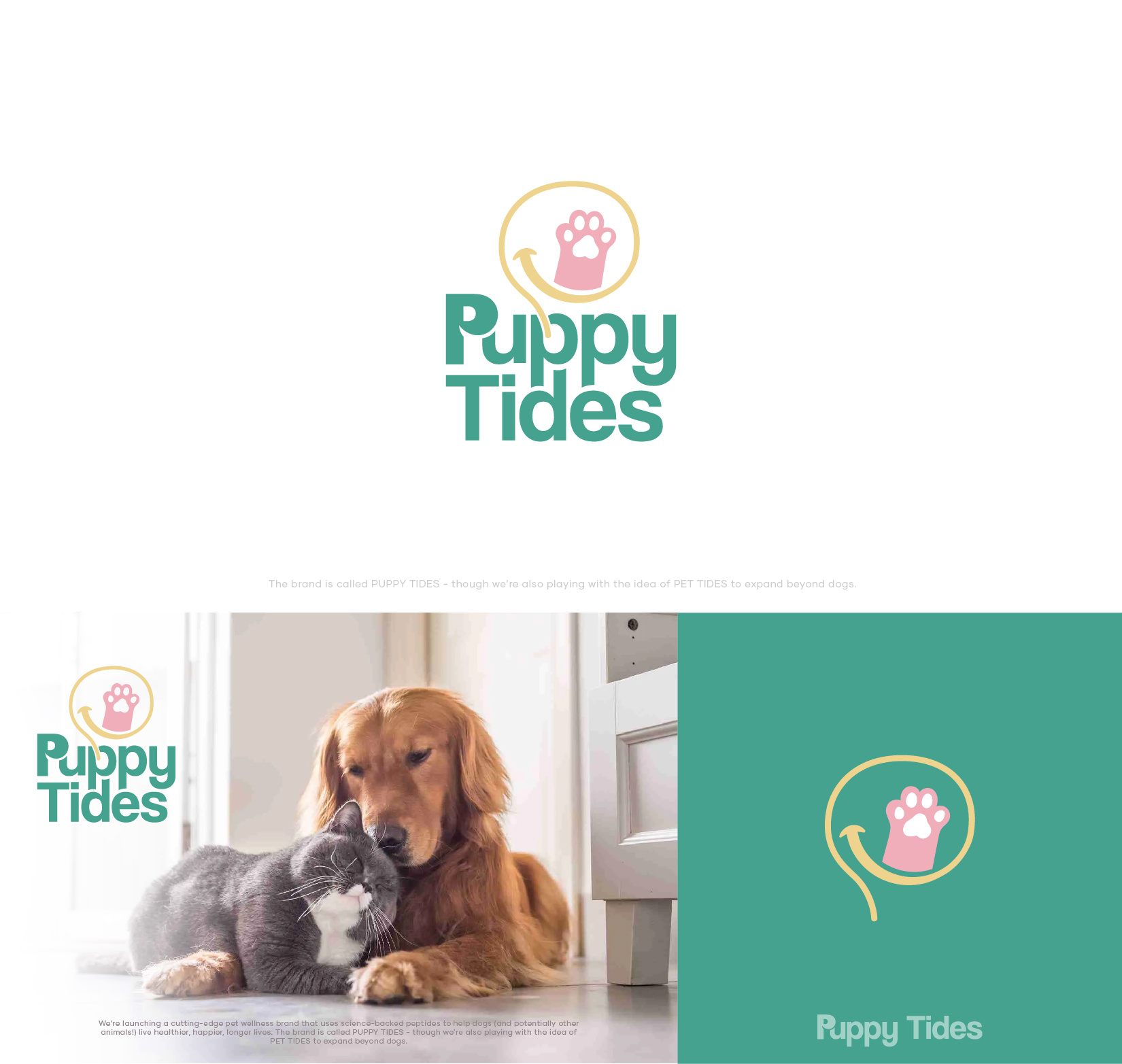 Logo Design by JuniorDesigns for this project | Design #36231452