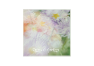 CD Cover Design by GLB for White Space Inc. | Design #36249149